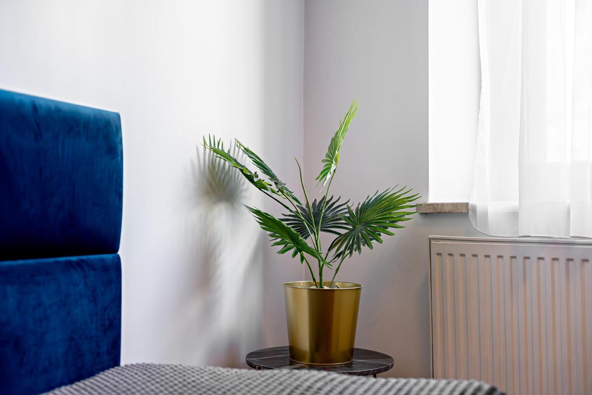 Great Polonia Dwarf Wroclaw Bed & Breakfast Ngoại thất bức ảnh