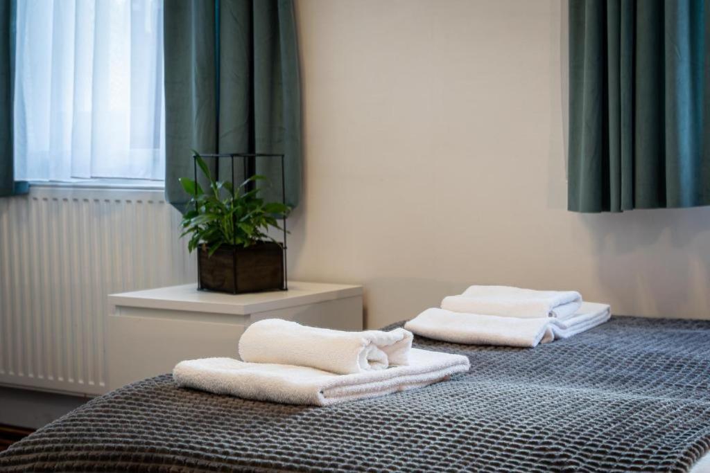 Great Polonia Dwarf Wroclaw Bed & Breakfast Ngoại thất bức ảnh